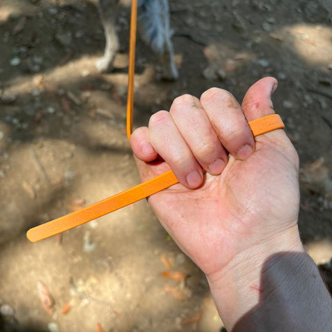 A hand holding an orange biothane leash 