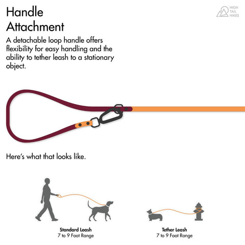 Text reads: Handle Attachment: a detachable loop handle offers flexibility for easy handling and the ability to tether the leash to a stationary object." The graphic shows a leash with a convertible handle and carabiner hardware, and below, two silhouettes of a dog and a person with the leash being used as a standard leash and as a tether around a table leg.