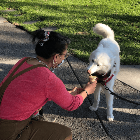 A woman kneels down to give a treat to a white fluffy dog