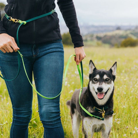 a white woman walking a husky mix dog on a green waterproof BioThane leash 