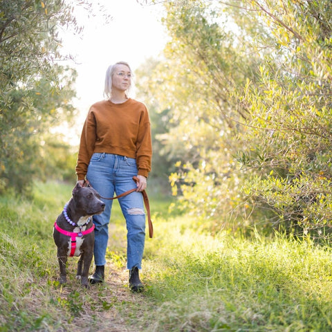 A blonde woman stands in a grassy meadow with trees at sunset with a large grey pit bull type dog standing next to her. The woman and dog are both looking into the distance to their left, and the dog is wearing a bright pink harness.