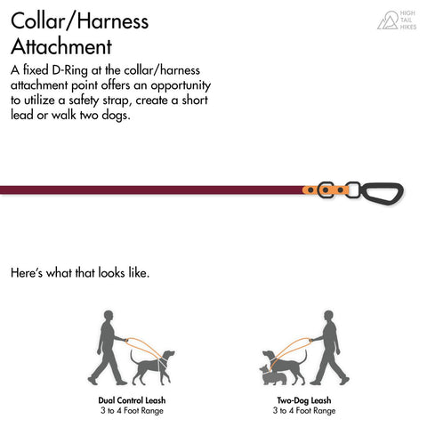 Text reads"Collar/Harness Attachment: A fixed D Ring at the collar/harness attachment point offers the opportunity to use a leash safety strap, create a short lead or walk two dogs. The visual shows a leash with a fixed d ring and a carabiner at one end, and at the bottom two grey silhouettes demonstrate the two ways to use this feature.