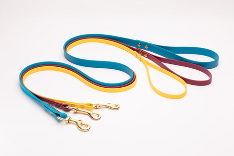 BioThane Dog Leashes in blue, maroon, and yellow