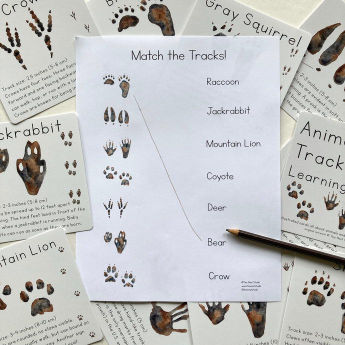 top-114-animal-footprint-matching-game-lestwinsonline