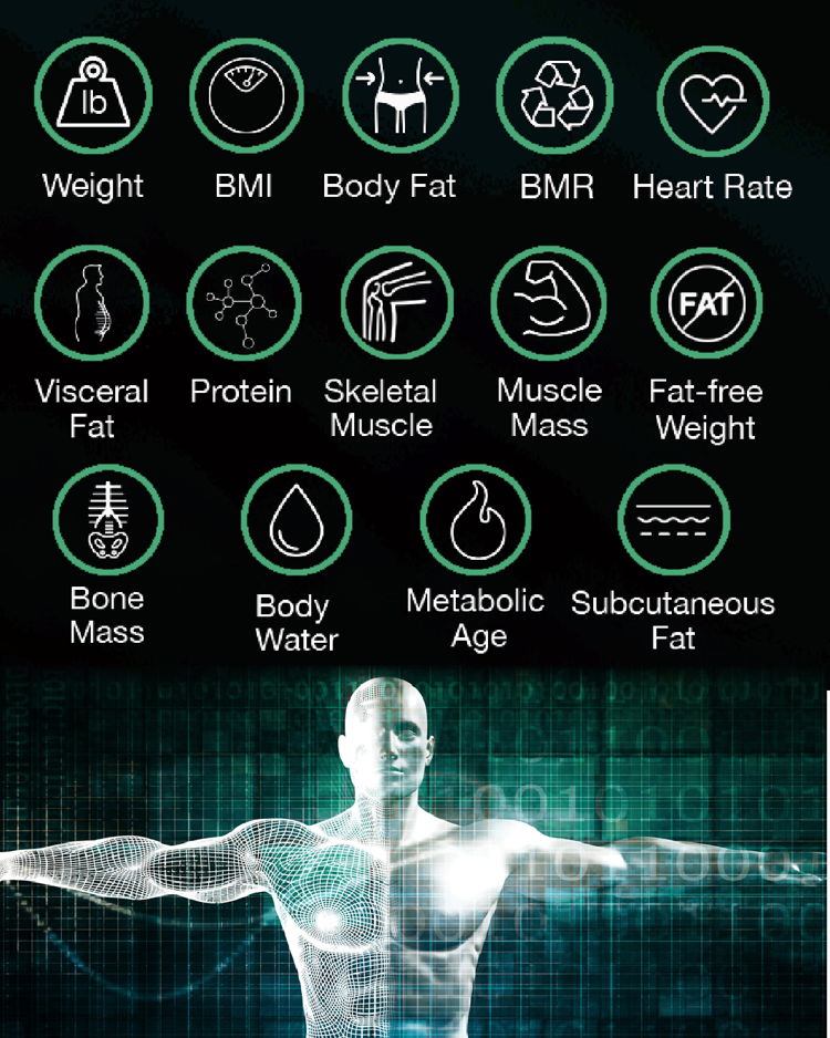 Korescale Smart Scale for Body Weight and Fat Percentage, BMI