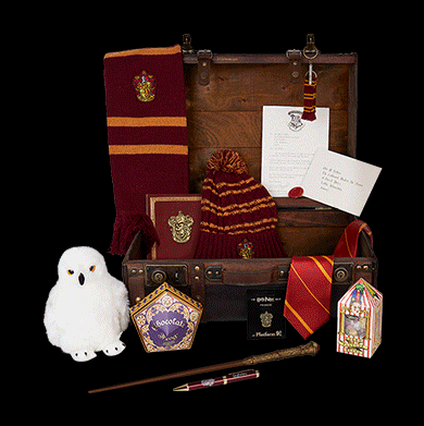 Dageraad Disco Kosmisch Harry Potter Shop | Official Warner Bros. Shop