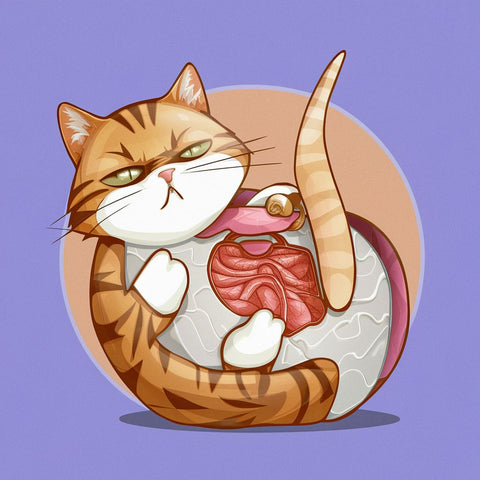 A cat's belly is very delicate and may come into contact with internal organs, so the cat may not like the sudden touching of the belly. That's right, most cats are very sensitive to having their bellies touched and don't like having this area touched.貓的腹部非常嬌嫩，可能會接觸到內臟，所以貓可能不喜歡突然觸摸腹部。 是的，大多數貓對觸摸腹部非常敏感，並且不喜歡觸摸該區域。