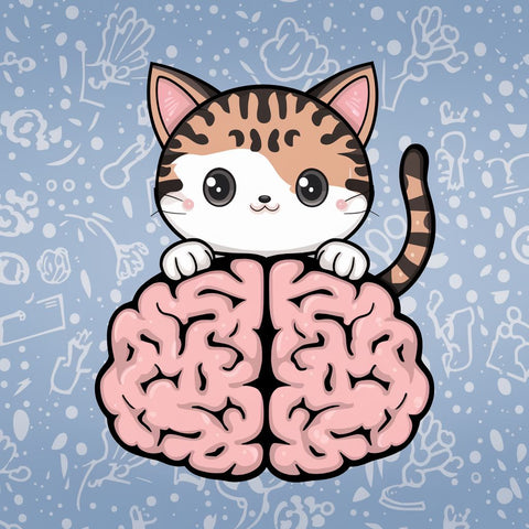 a cat, cute, a brain, smart, cartoon, 一隻貓，可愛，大腦，聰明，卡通，記憶力