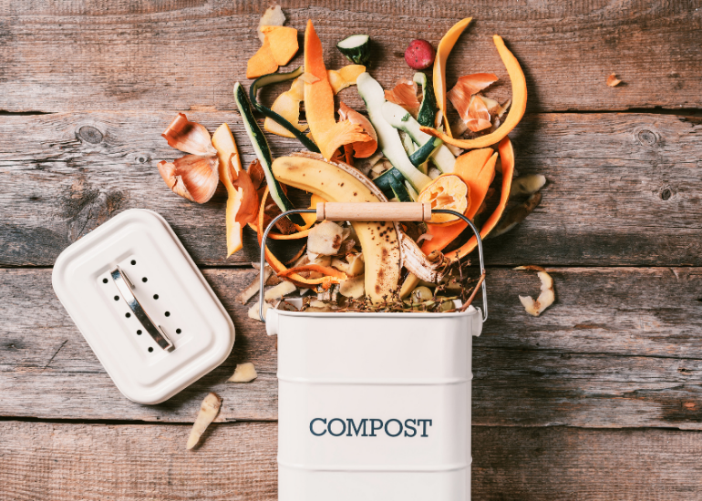 Compost bin