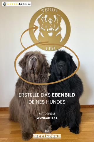 Hund im Kreis mit Personalisierung bei Steelmonks