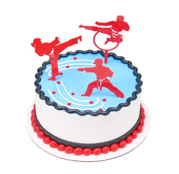 Karate Judo Novelty Birthday Cake | Susie's Cakes