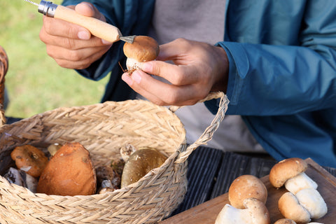 person cleaning mushrooms with a brush