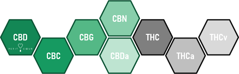  Les cannabinoïdes CBD THC CBC CBG CBC THCV - Petit Coeur  