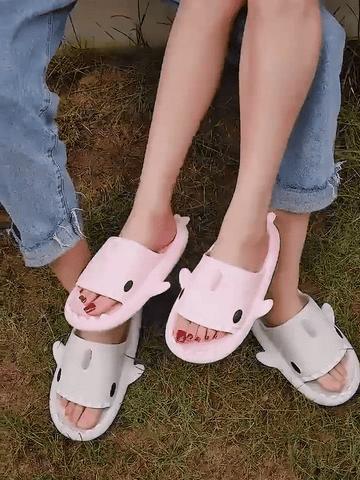 Shark Slides