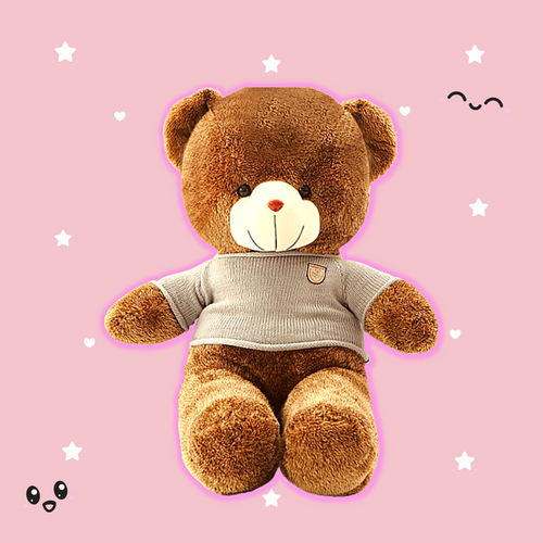 Emotional support teddy bear - SFTS