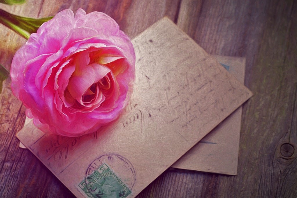 A pink rose and a postcard