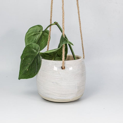 chic hanging plant pot