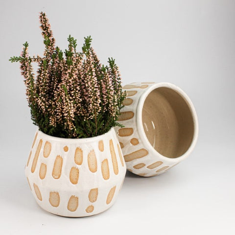 white spotted plant pot 