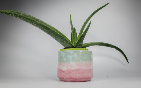 Handmade pottery plant pot from Keeeps with Aloe Vera plant inside