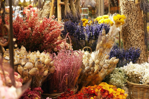 These are five benefits of dried flowers!