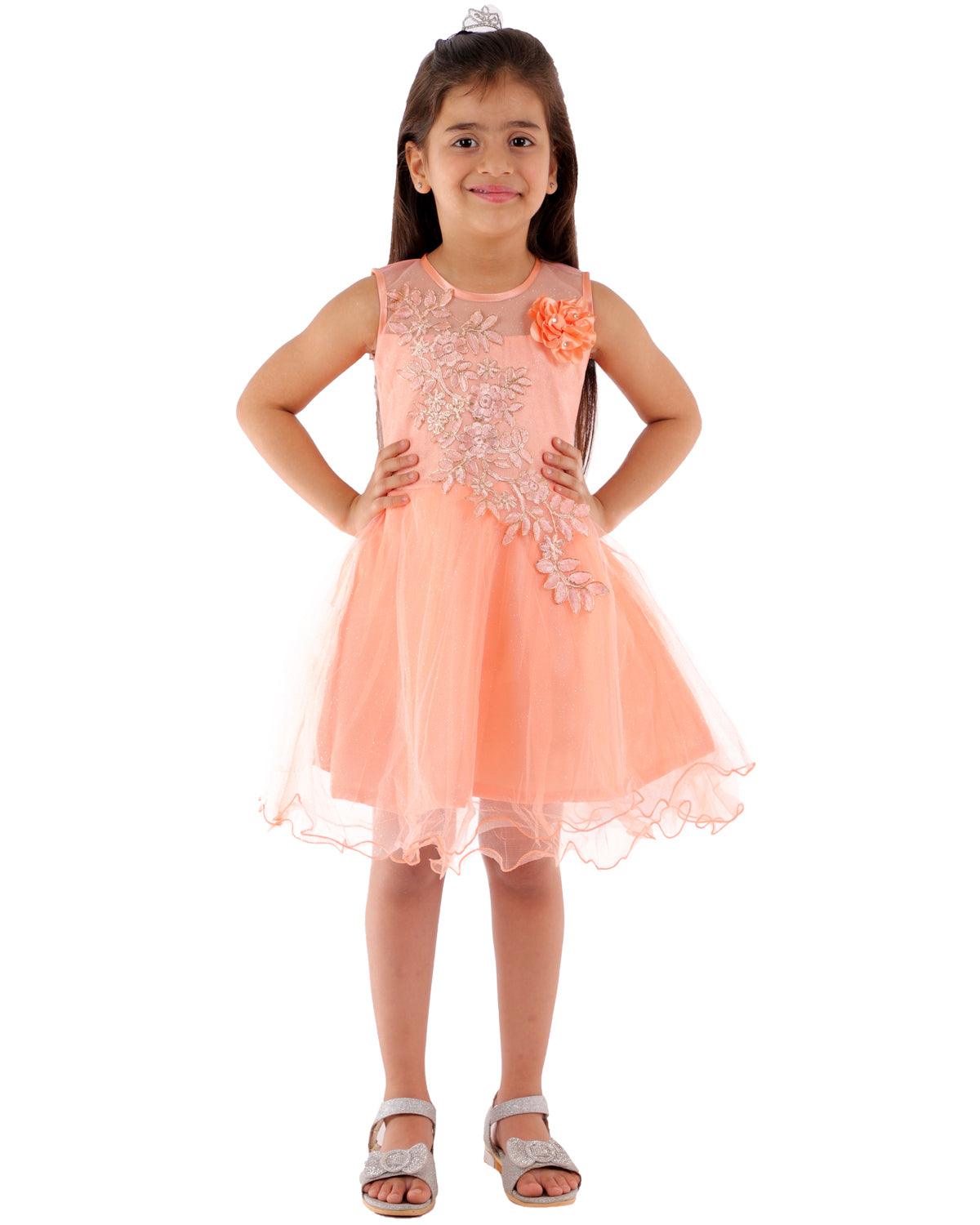 Buy PARILIFESTYLE Angel Pari Dress Frock Party Festival and Casual use for  Baby Girls (1-2Y) Pink at Amazon.in