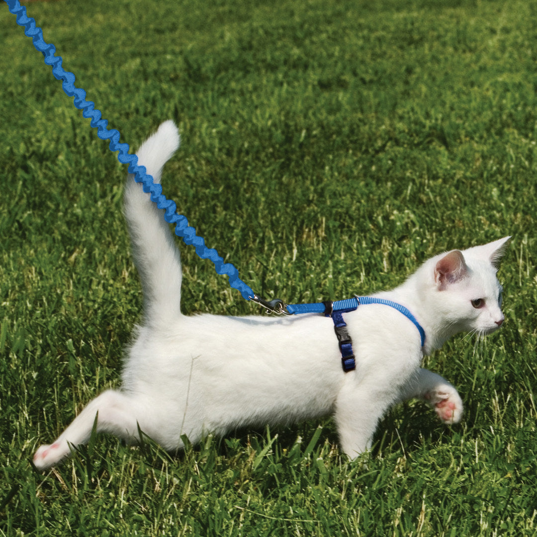 Easy Walk® Cat Harness \u0026 Lead 