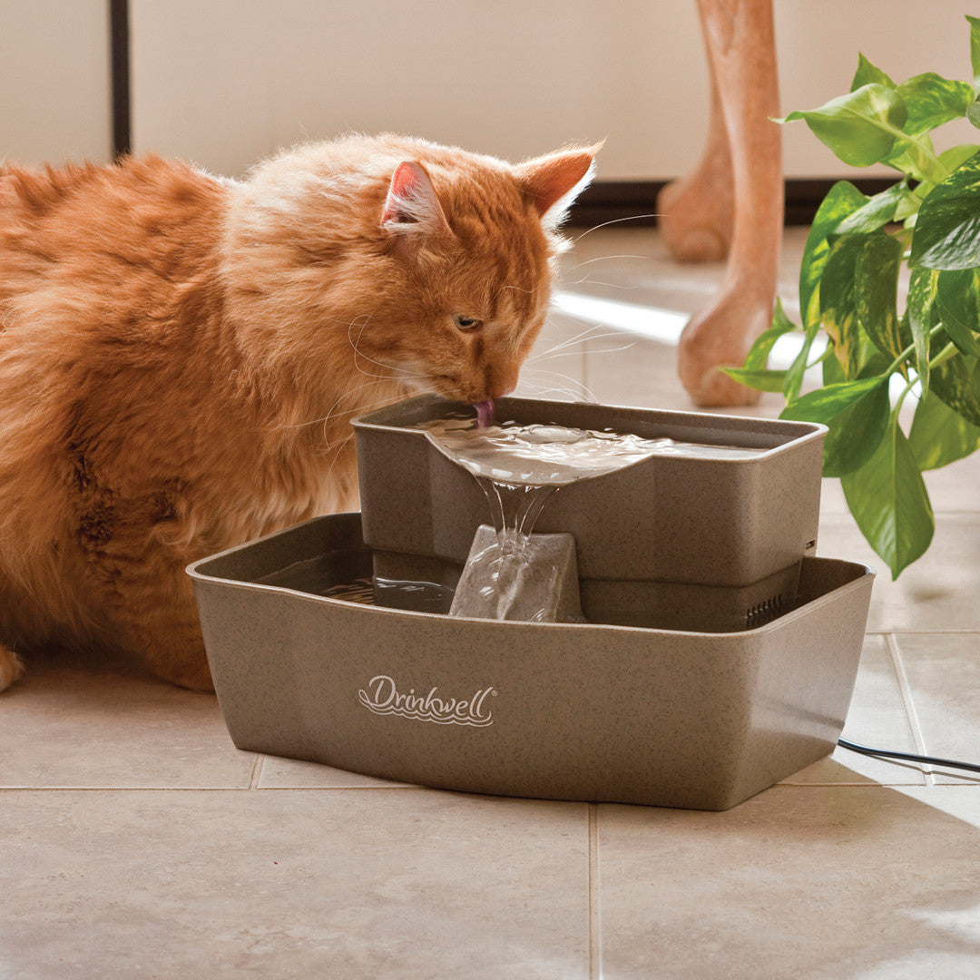 discover-the-drinkwell-multi-tier-pet-fountain-petsafe-canada