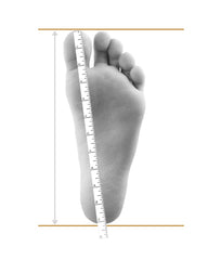 Measure Foot Length