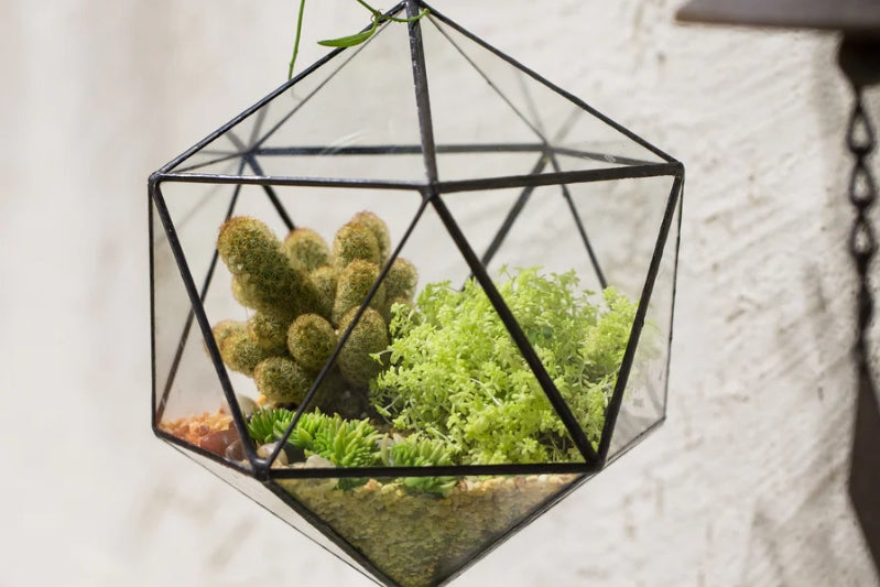 geometric design glass terrarium hanging wall