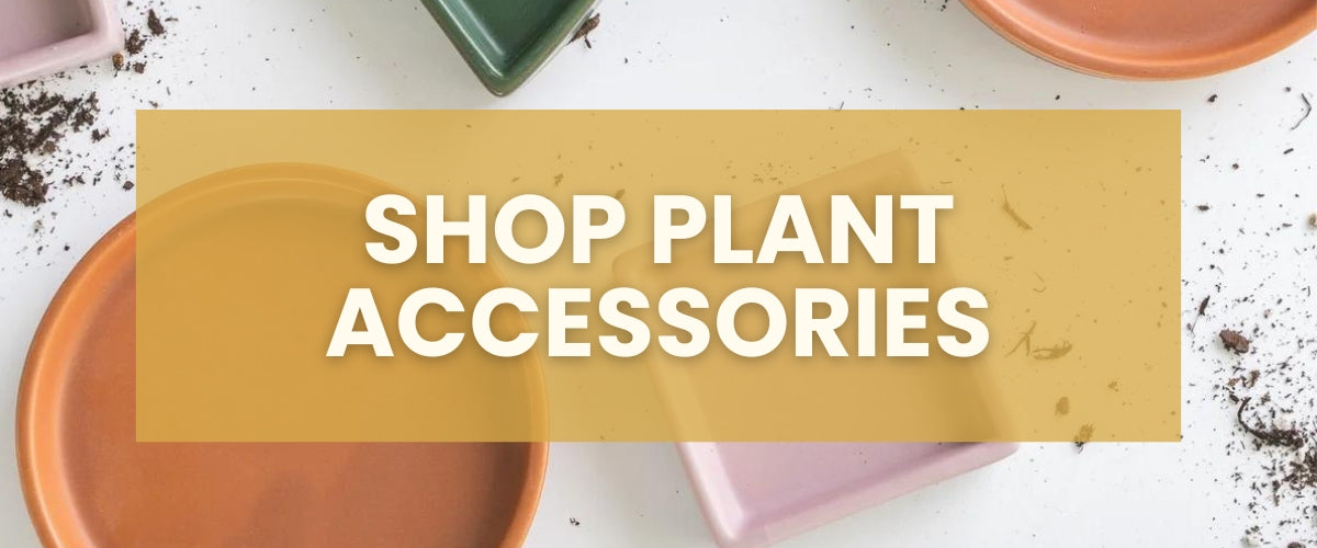 plant accessories collection succulent bar store collection page