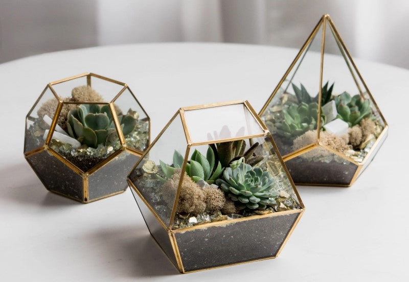 three glass terrarium gifts with gold edges on white table