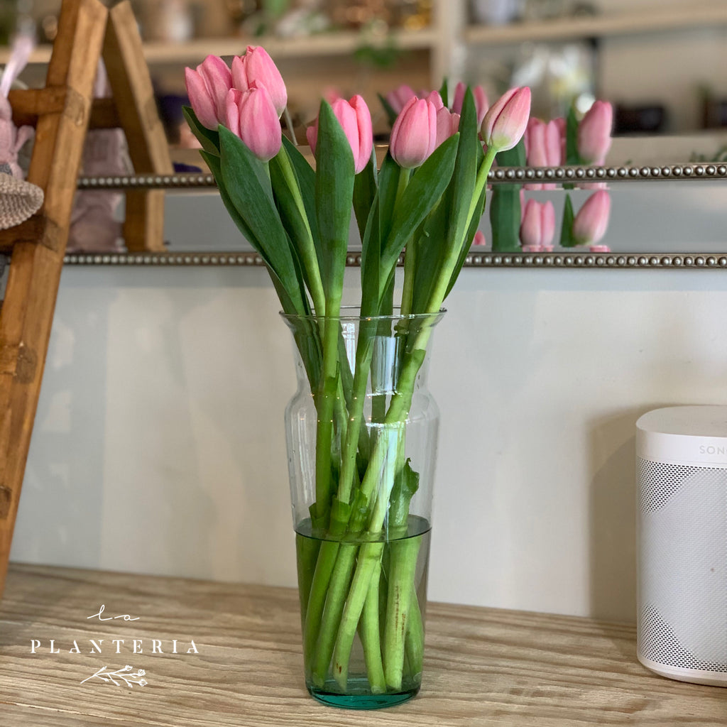 Decena de tulipanes en florero – La Plantería Store