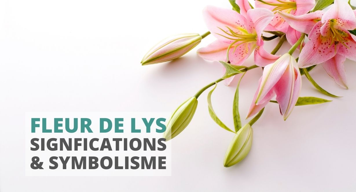 La fleur de lys : symbole & signification | Fleur&Fleuri