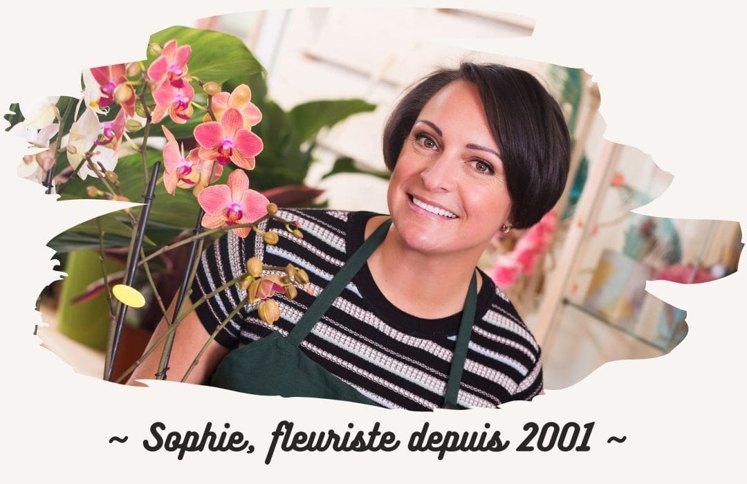 Sophie, fleuriste boutique florale