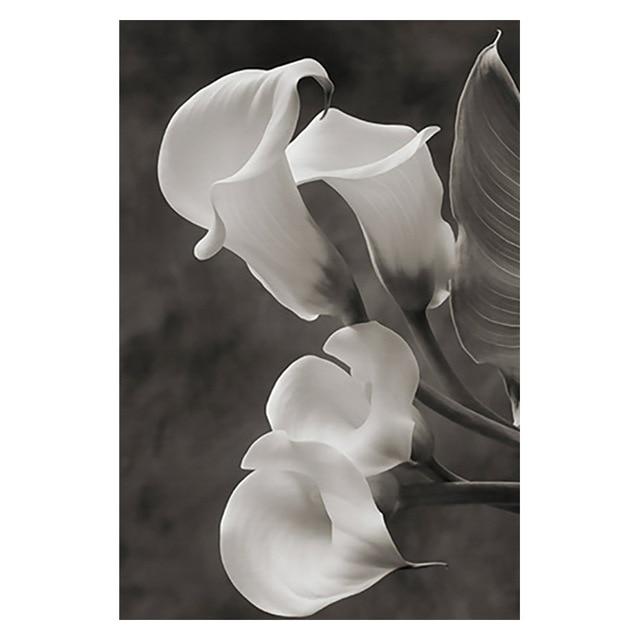 Tableau Fleur Blanche sur Fond Noir | Fleur&Fleuri