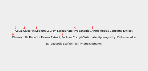 The ingredient list of the Gentler Cleanser, a mild face wash by Five to Five