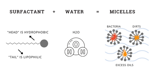 Illustration of surfactants forming micelles in water