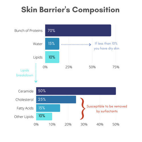 Chart showing the composition of skin barrier