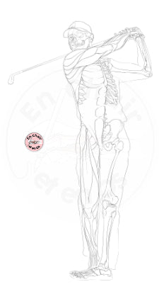 anatomie golf