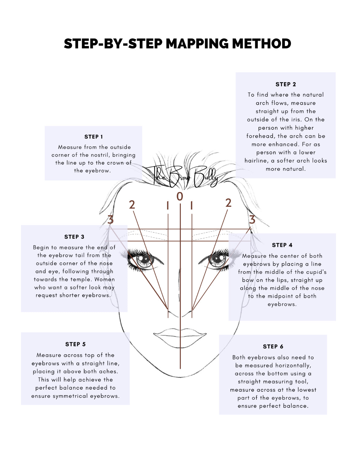 Step by Step Brow Mapping Manual The Brow Bully