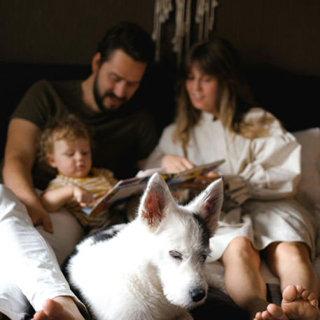 Family with a dog sitting in bed reading a book