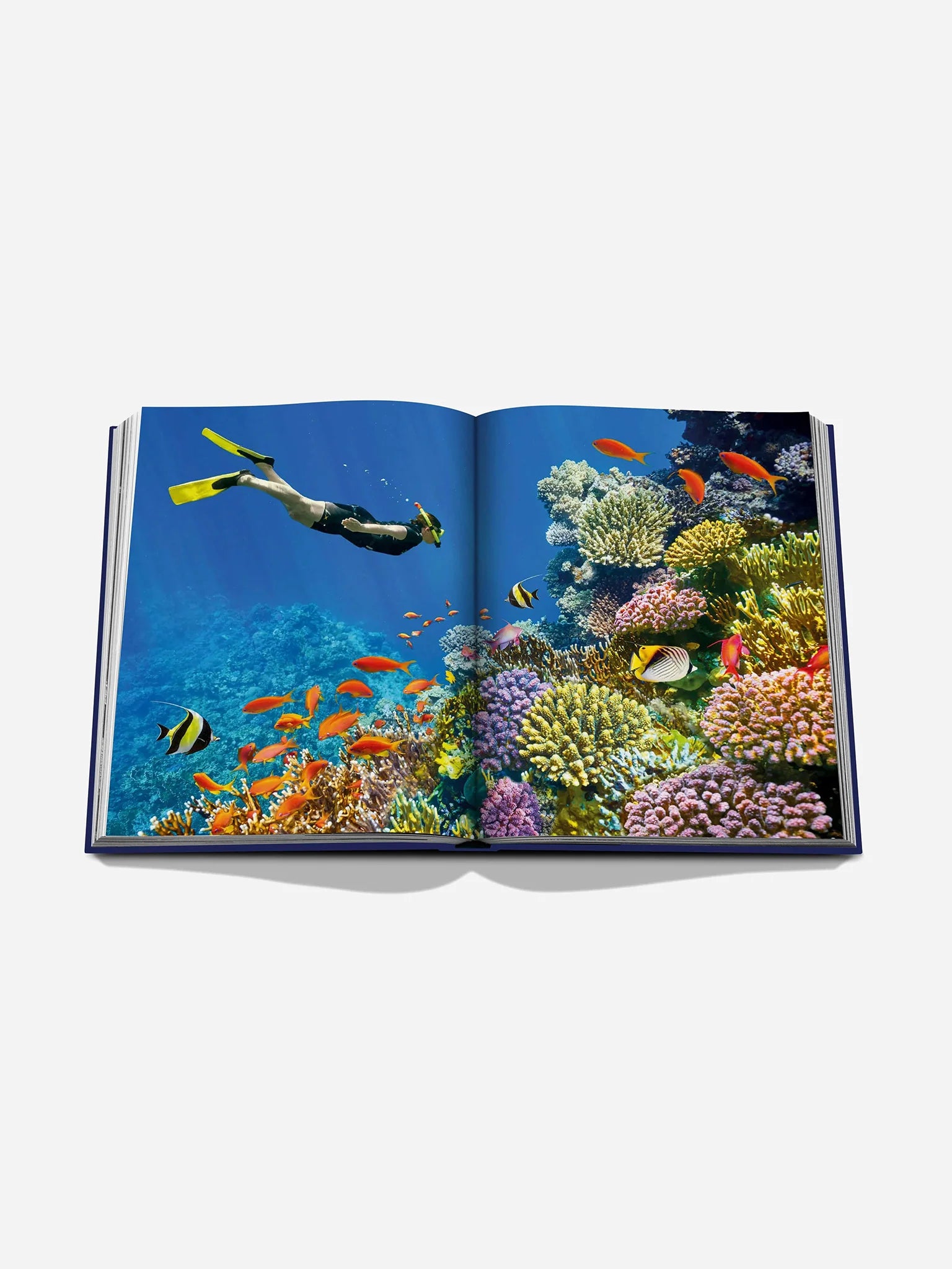 Wanderlust of the Ocean