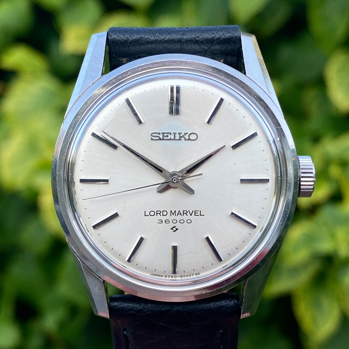 Top 77+ imagen seiko lord marvel 36000 price