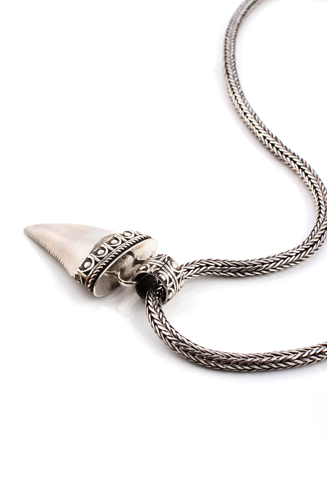 Fossilized Great White Shark Tooth Pendant – Silver Eagle Gallery Naples