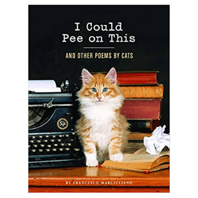 best gift for a cat lover