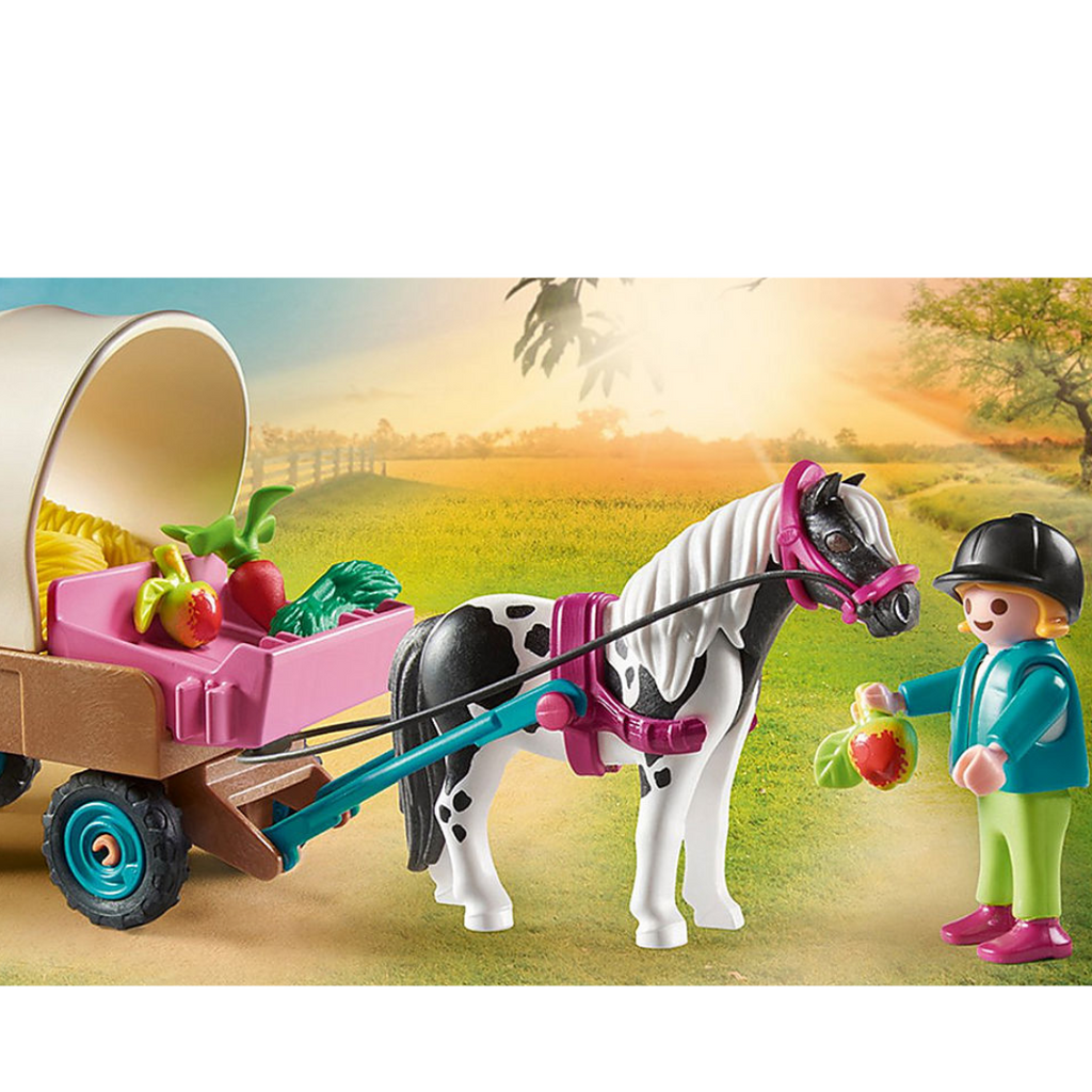 Playmobil Picnic with Pony Wagon