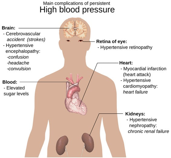 Dangers of high blood pressure