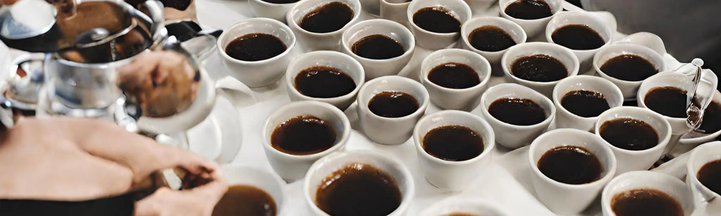 coffee cupping , tasting , arabica coffee