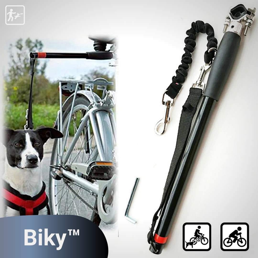 bike leash attachment