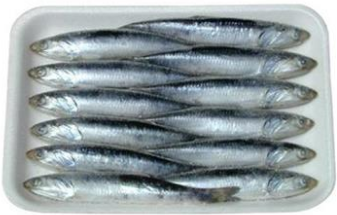 WHOLESALE 5 1/4 ANCHOVY 40/CS